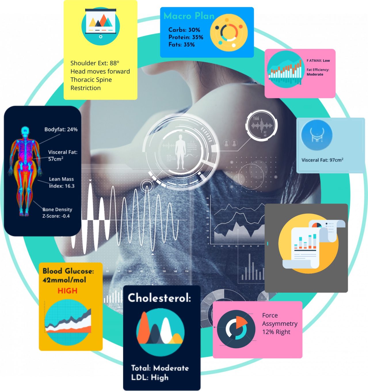 Total health Bundle The photo shows a white man having a body composition scan in a DEXA scanner. He is lying flat on his back on a raised table as the arm of the scanner passes over his body. There is a logo on the wall behind him that reads My Vital Metrics.