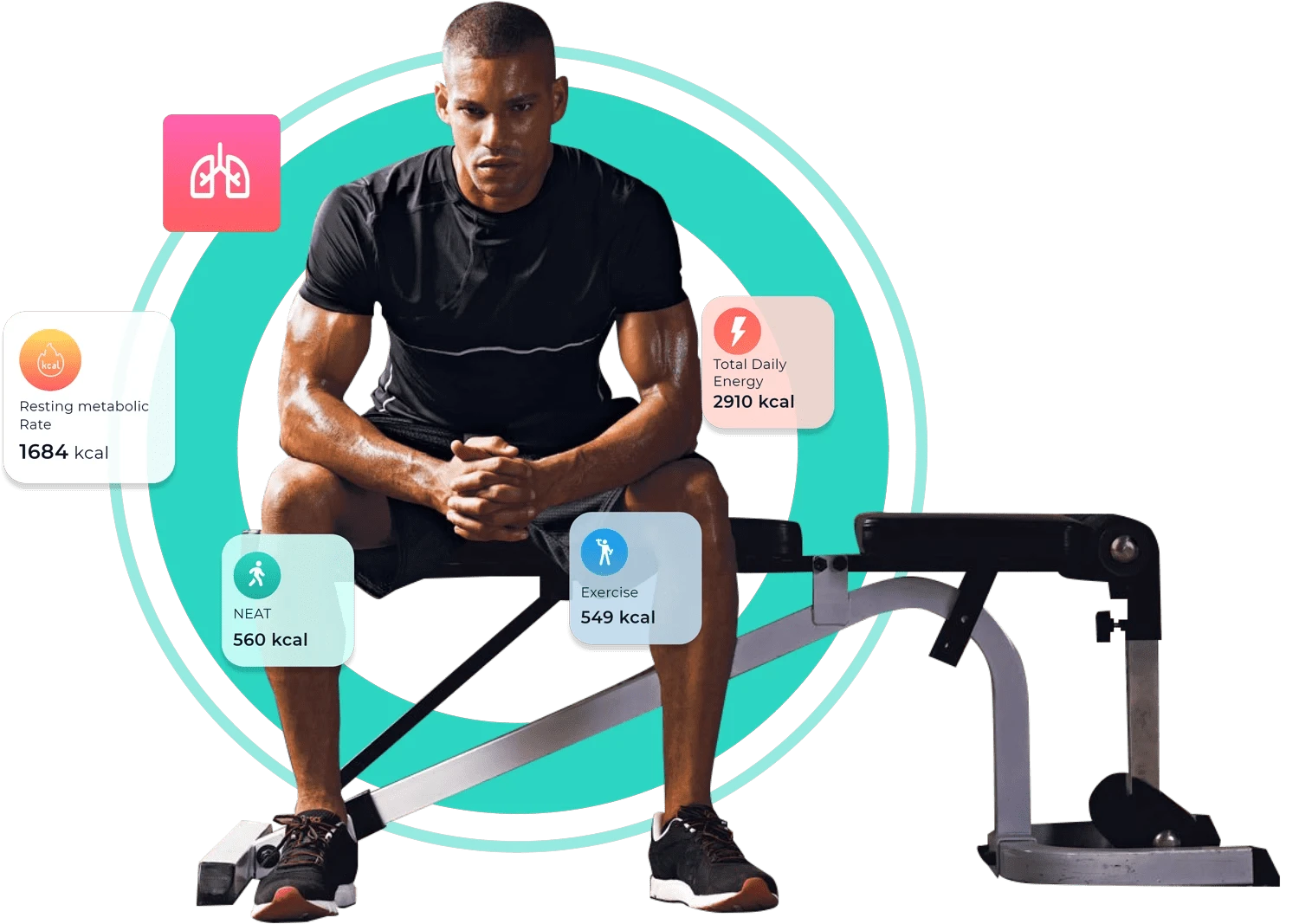 Resting-Metabolic-Rate-header2 Group-1506-99